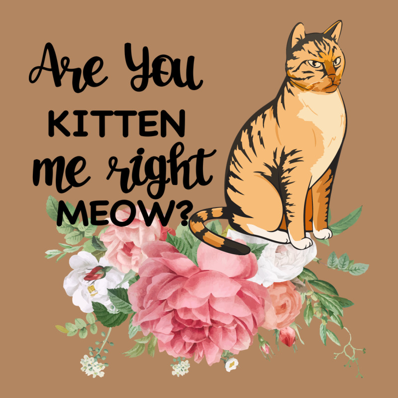 Are You Kitten Me Right Meow Long Sleeve Tee by Bettercallsaul | Teevron