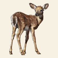 White Tailed Fawn Deer Vintage Tee | Teevron