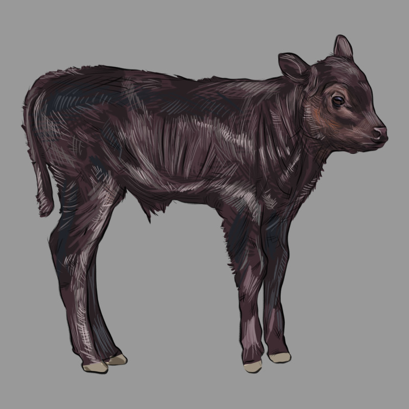 Black Angus Calf Illustrations Vintage Hoodie by LillyAllenDesigns | Teevron