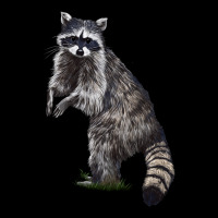 Raccoon Illustrations Urban Hoodie | Teevron