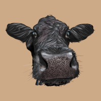 Black Angus Heifer Vintage Hoodie | Teevron