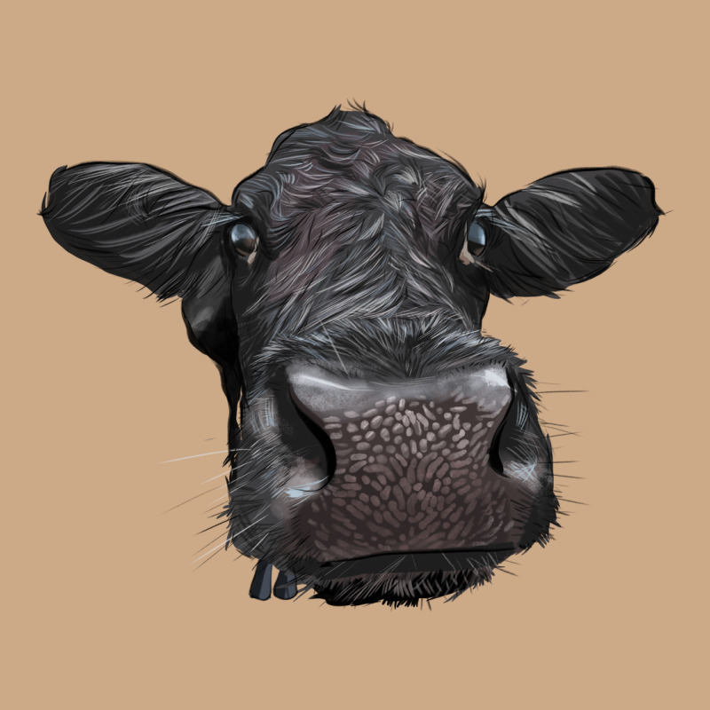 Black Angus Heifer Vintage Hoodie by LillyAllenDesigns | Teevron