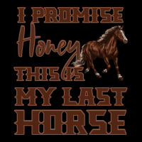 I Promise Honey This Is My Last Horse Long Sleeve Tee | Teevron