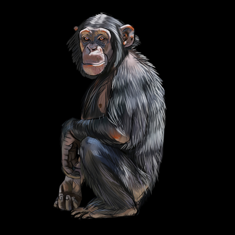 Chimpanzee Illustrations Urban Hoodie by LillyAllenDesigns | Teevron