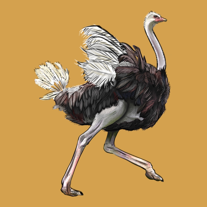 Ostrich Urban Hoodie by LillyAllenDesigns | Teevron