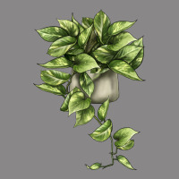 Golden Pothos Vintage Tee | Teevron