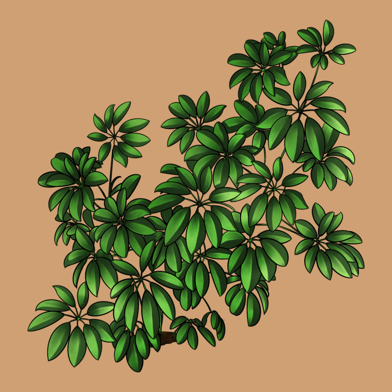 Botanical Schefflera Illustrations Vintage Tee by LillyAllenDesigns | Teevron