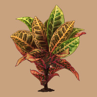 Croton Vintage Tee | Teevron