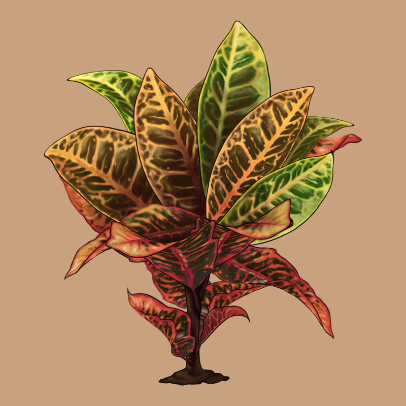 Croton Vintage Tee by LillyAllenDesigns | Teevron