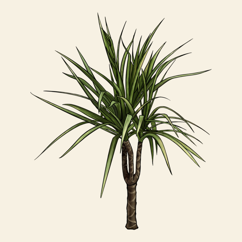 Dracaena Marginata Vintage Tee by LillyAllenDesigns | Teevron