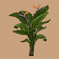 The Bird Of Paradise Vintage Tee | Teevron