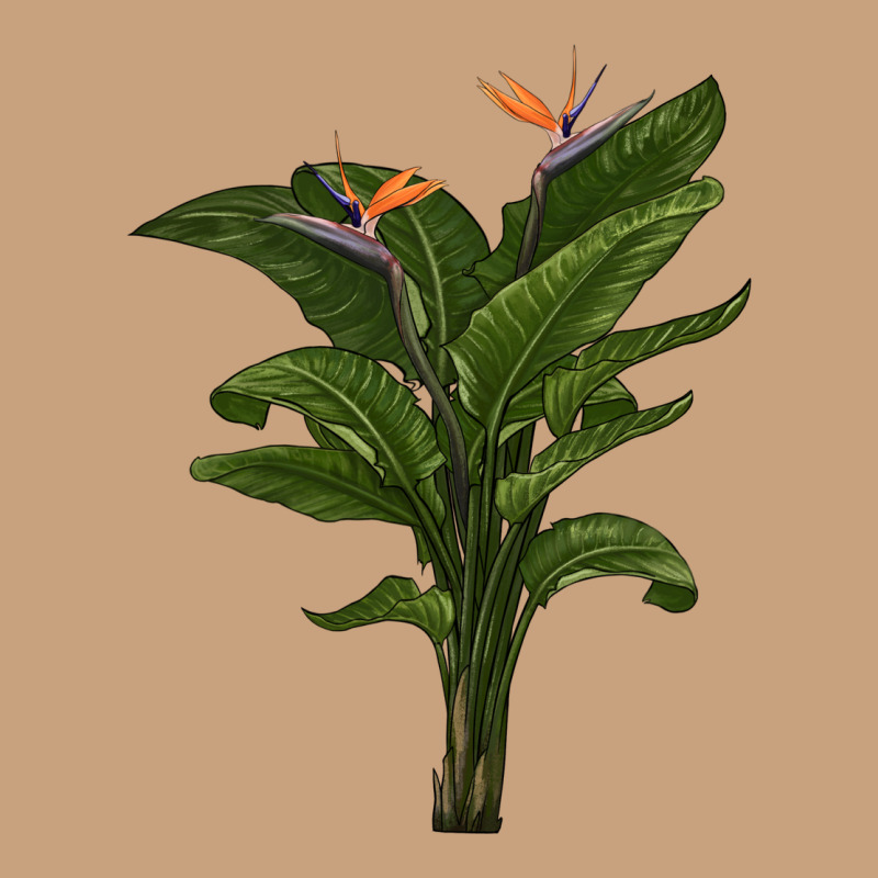 The Bird Of Paradise Vintage Tee by LillyAllenDesigns | Teevron