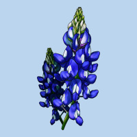 Bluebonnet Flower Classic Tee | Teevron