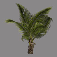 Palm Tree Vintage Tee | Teevron