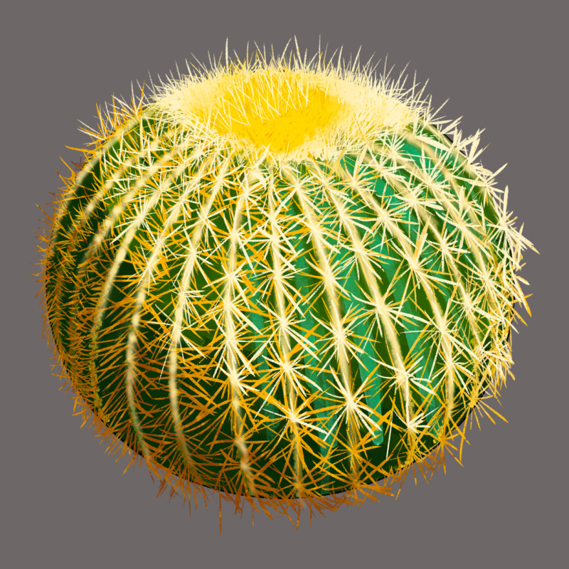 Golden Barrel Cactus Classic Tee by LillyAllenDesigns | Teevron