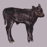 Black Angus Calf Illustrations Vintage Tee | Teevron