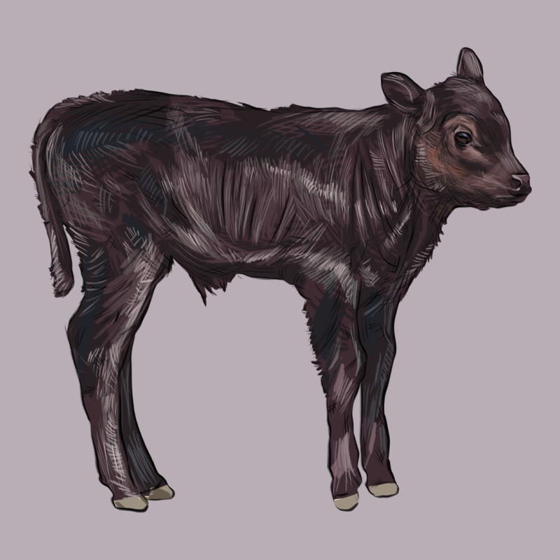 Black Angus Calf Illustrations Vintage Tee by LillyAllenDesigns | Teevron