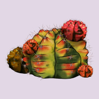 Gymnocalycium Variegated Cactus Classic Tee | Teevron