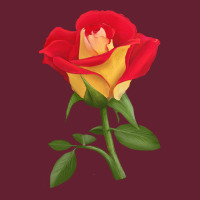 Ketchup And Mustard Rose Classic Tee | Teevron