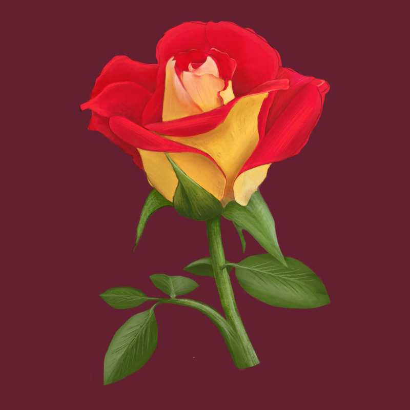 Ketchup And Mustard Rose Classic Tee by LillyAllenDesigns | Teevron