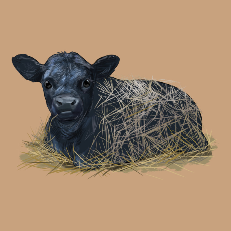 Black Angus Calf Illustrations Vintage Tee by LillyAllenDesigns | Teevron
