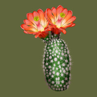 King Cup Cactus Classic Tee | Teevron