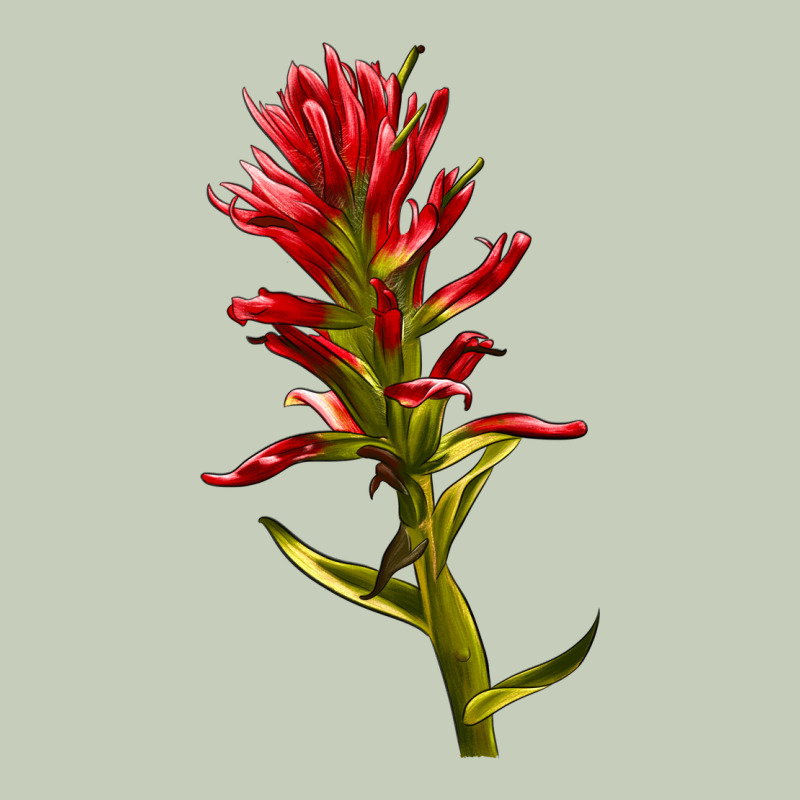 Indian Paintbrush Classic Tee by LillyAllenDesigns | Teevron