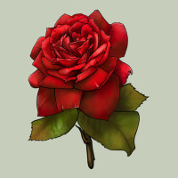 Oklahoma Rose Illustrations Classic Tee | Teevron