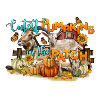 cutest pumpkins in the patch | Teevron