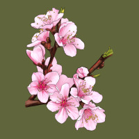 Peach Blossom Illustrations Classic Tee | Teevron