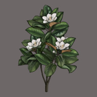 Magnolia Flower Illustrations Classic Tee | Teevron