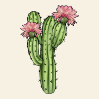 Cactus 4 Vintage Tee | Teevron
