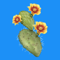 Opuntia Phaeacantha Cactus Classic Tee | Teevron