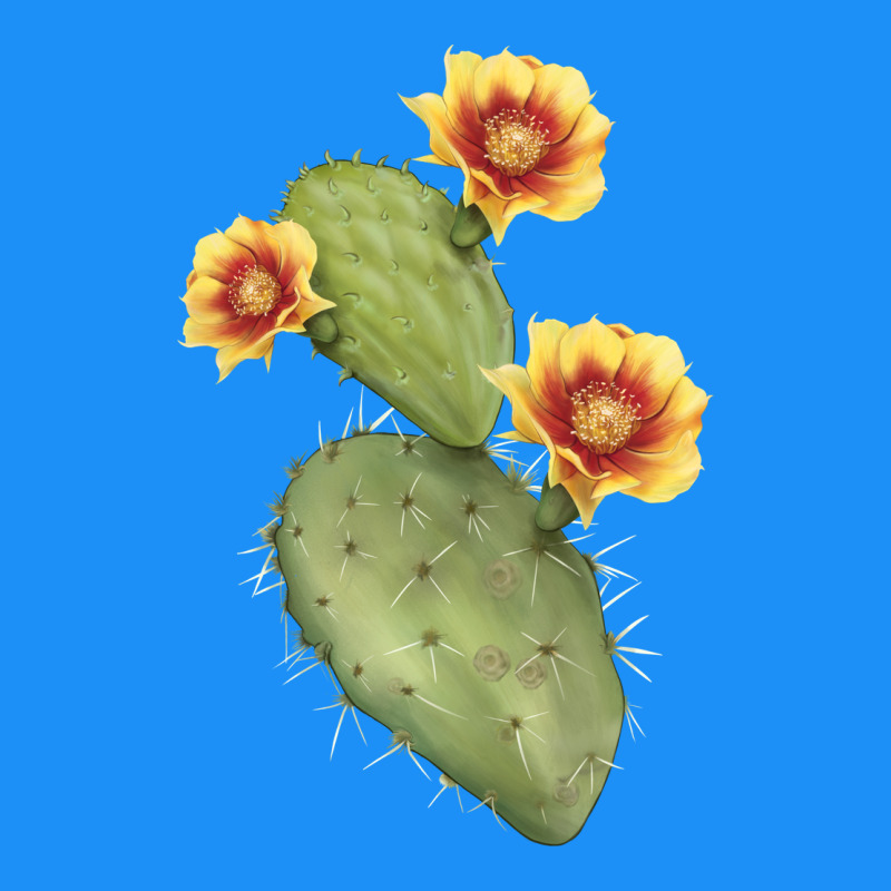 Opuntia Phaeacantha Cactus Classic Tee by LillyAllenDesigns | Teevron