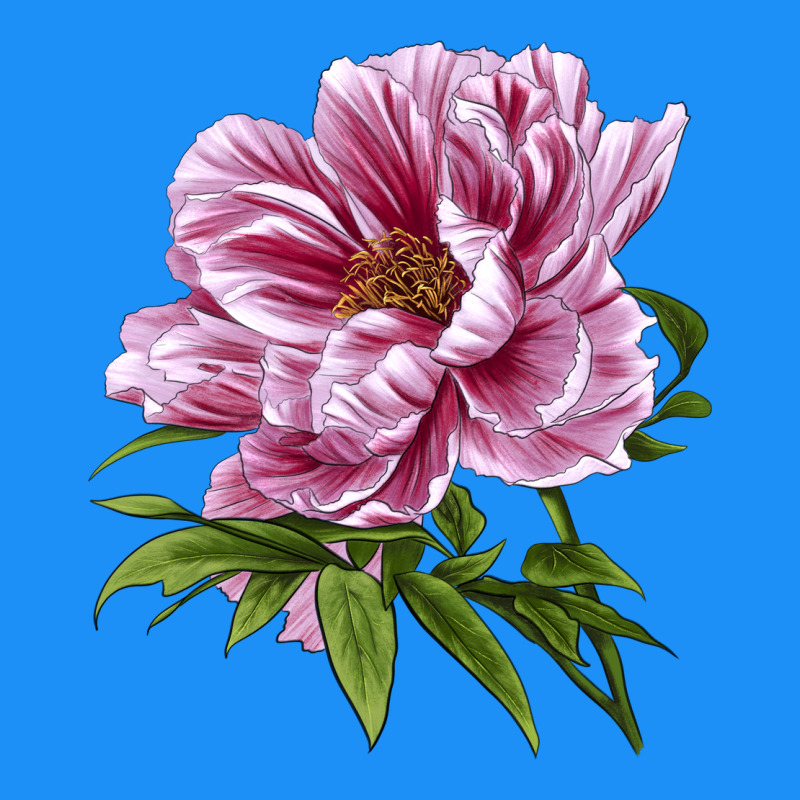 Peony Flower Illustrations Classic Tee by LillyAllenDesigns | Teevron