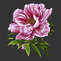 Peony Flower Illustrations | Teevron
