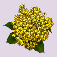 Oregon Grape Flower Illustrations Classic Tee | Teevron