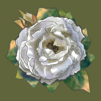 Pillow Fight Rose Classic Tee | Teevron