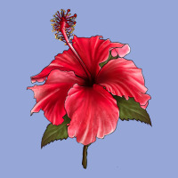 Puerto Rican Hibiscus Flower Classic Tee | Teevron