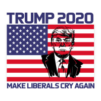 Trump 2020 Make Liberals cry Again | Teevron