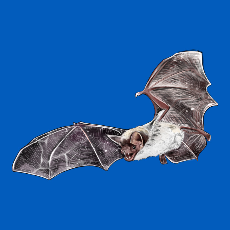Mexican Free Tailed Bat Urban Hoodie by LillyAllenDesigns | Teevron