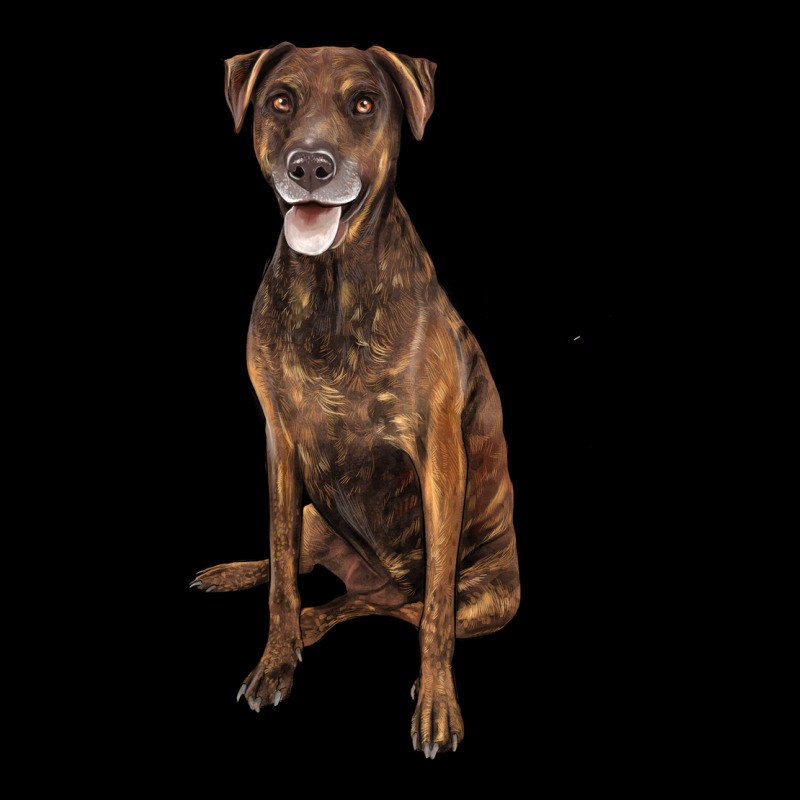 Plott Hound Urban Hoodie by LillyAllenDesigns | Teevron