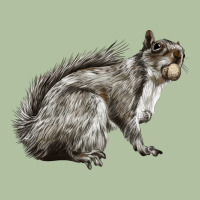 Gray Squirrel Urban Hoodie | Teevron
