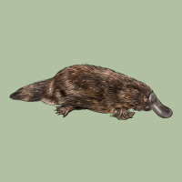 Platypus Urban Hoodie | Teevron