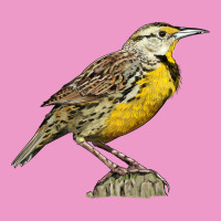 Western Meadowlark Urban Hoodie | Teevron