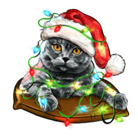 christmas scottish fold cat | Teevron