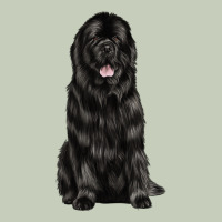 Newfoundland Dog Classic Tee | Teevron