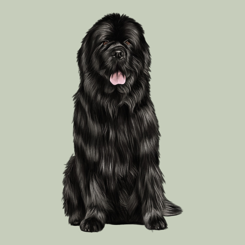 Newfoundland Dog Classic Tee by LillyAllenDesigns | Teevron
