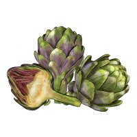 Artichoke | Teevron