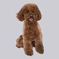 Poodles Dog Lllustrations Urban Hoodie | Teevron